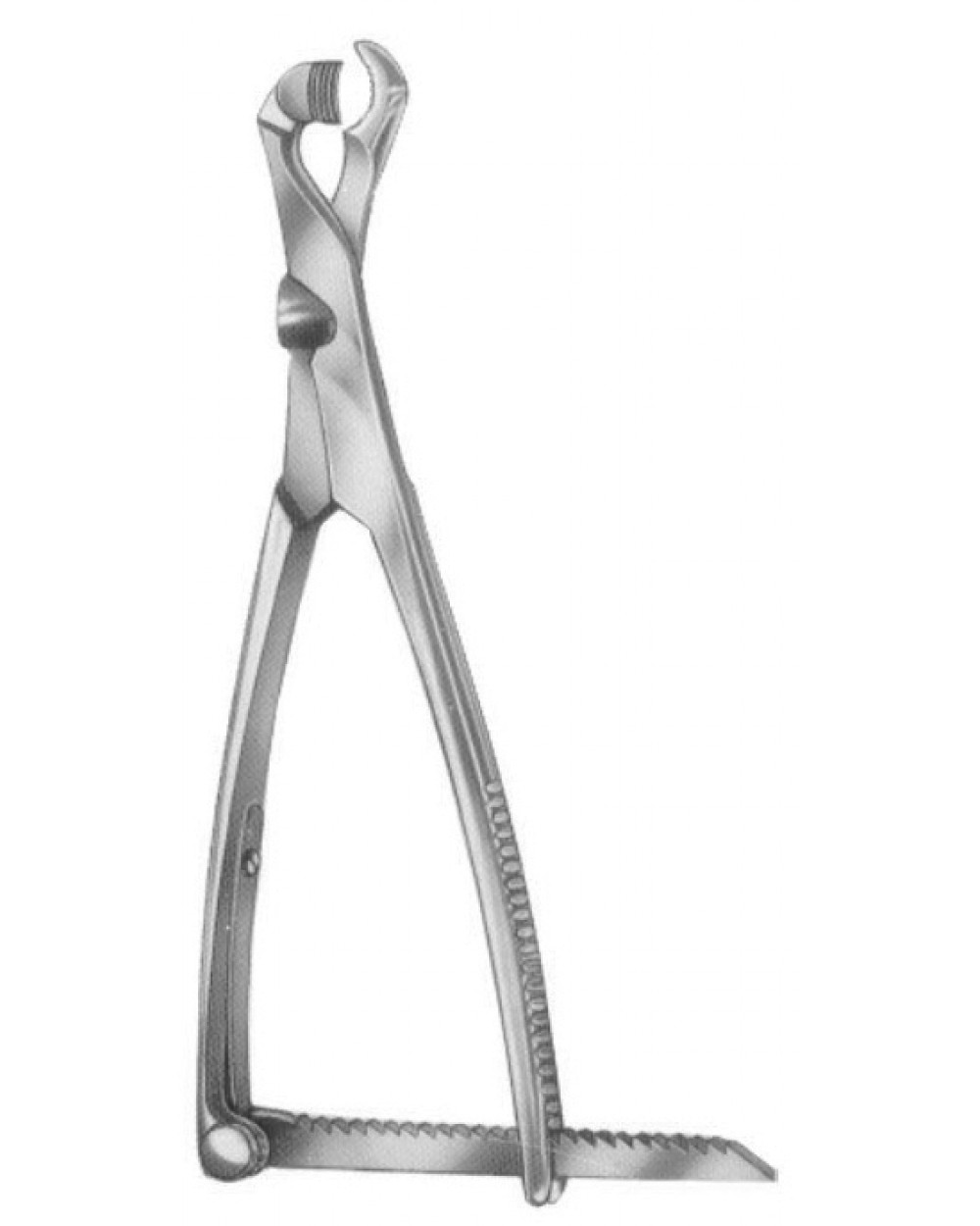 Bone Holding Forceps Lambotte 22 5 Cm 9 Bone holding forceps lambotte 22 5 cm 9