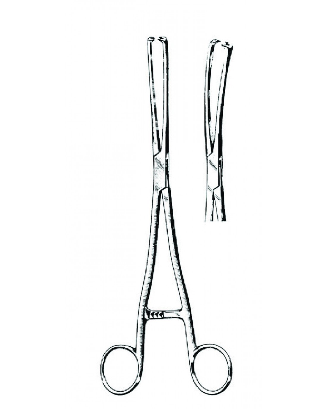 Tenaculum Forceps, Meseux, 24.0 cm